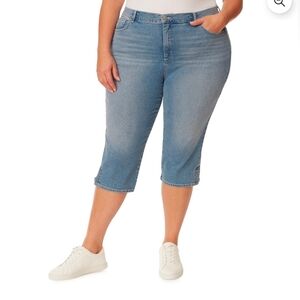 Gloria Vanderbuilt Sz 24 All Around Slimming Effect Skimmer Capri's-Violet Bliss